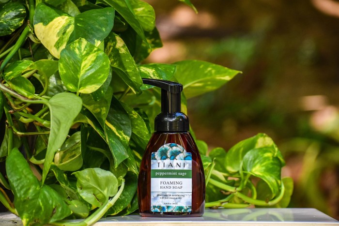 Branch and vine hand soap