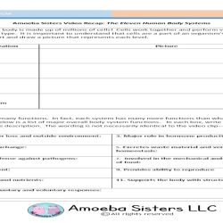 Worksheet amoeba sisters the eleven human body systems