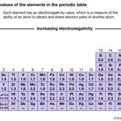 Electronegativity arrange periodic increasing